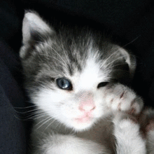 hackertyper怎么用  hackertyper怎么用