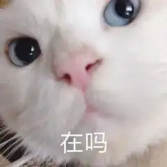  表情包你的小宝贝先睡了