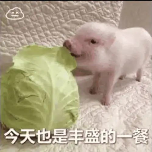  有哪些有趣的520文案