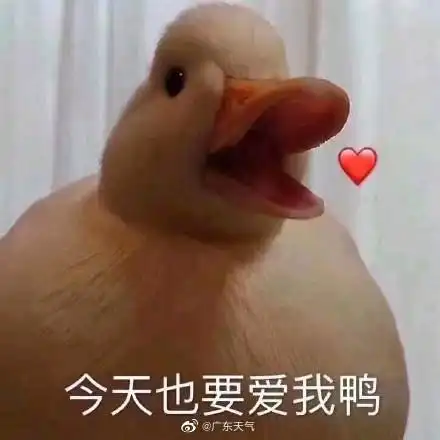 近期微信网红表情包鸭子