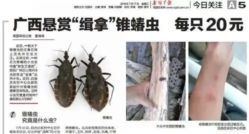  7月20日兴业那些事