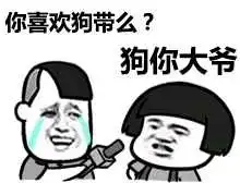  采访蘑菇头你喜欢狗带么狗你大爷