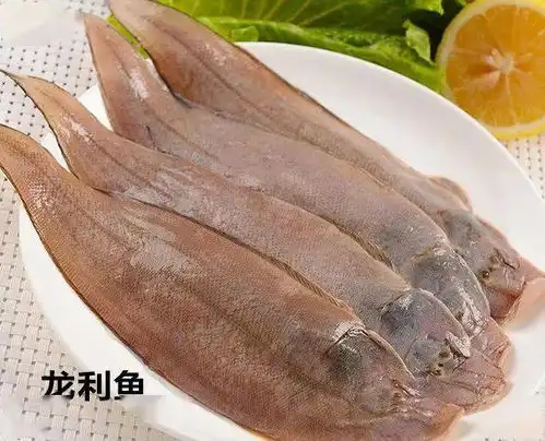 鲶鱼图片搞笑利萨