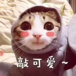  今夏穿衣就得大大大,时髦的人都这样穿