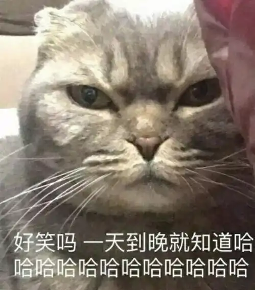  看完老公手机相册里的照片,我想离婚了结果
