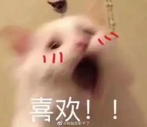  你见过最沙雕的手机壳是什么样的都是狠人哈哈哈哈