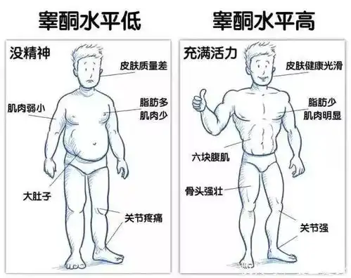  你有没有健身天赋看看这5点就知道了