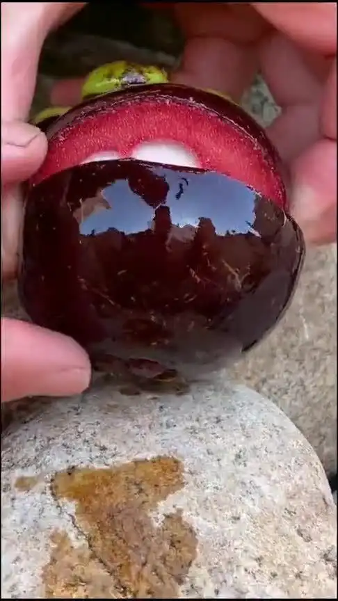  这个山竹外面看着也太诱人了,切开之后笑疯了,简直也太好玩了