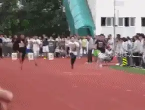  搞笑gif趣图这到底是猫还是老鼠我怎么傻傻分不清楚