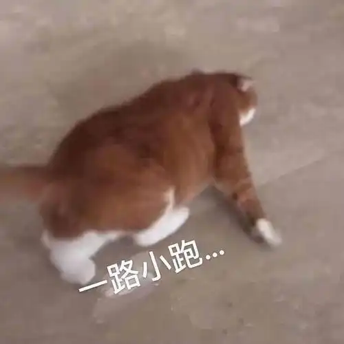  母胎solo20年,x宝给我推荐性感制服