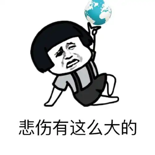 嗨美丽的姑娘表情包胖姑
