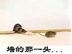 搞笑图片集锦带字偿命