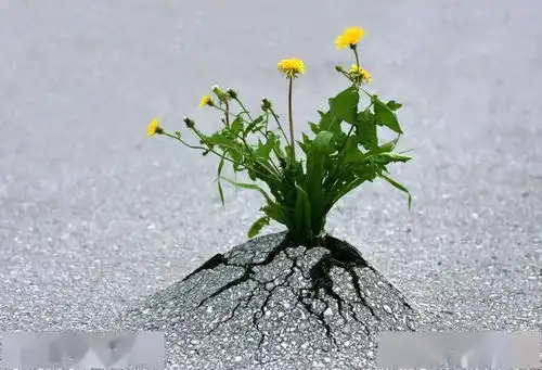 青春期数学,来吧,决斗 青春期数学,来吧,决斗