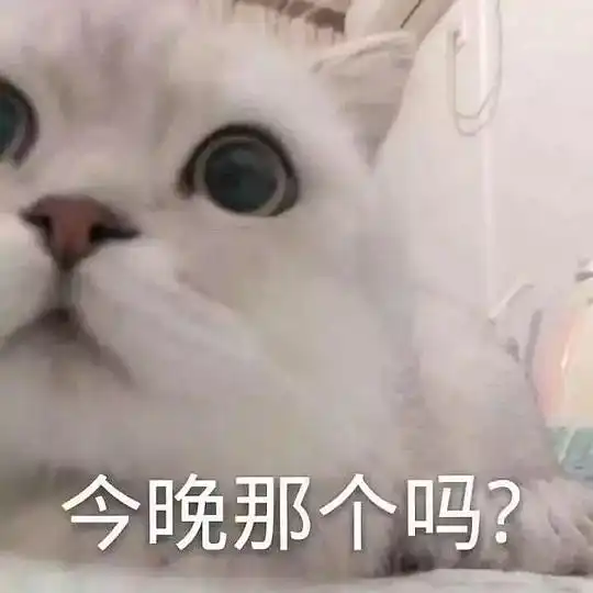 表情包谁猫咪