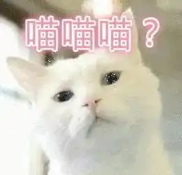  c罗邀你一起回家吃饭请拒绝因为