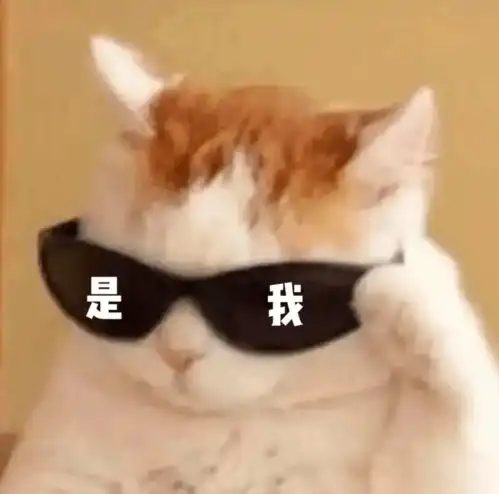 32号发工资搞笑图片沙雕