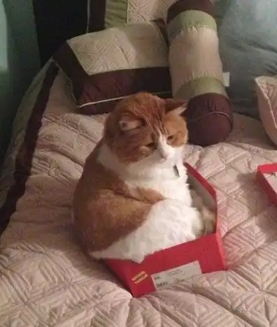 幽默搞笑段子集尽管有了心理准备,可我还是吓一跳,哈哈哈哈哈  幽默搞笑段子集尽管有了心理准备,可我还是吓一跳,哈哈哈哈哈