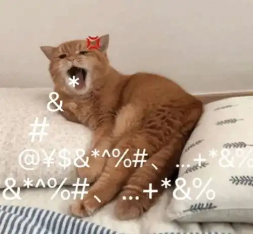  可爱猫猫头像我要3个对象,不过分吧
