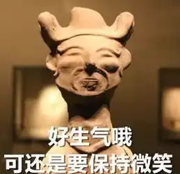  智障文物表情包下载智障文物图片带字恶搞表情包高清无水印极光下载站