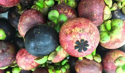  时令水果山竹怎么选掌握这4个挑选技巧,个个新鲜果肉多,实用