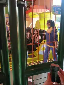  林志玲游玩迪士尼戴米奇发箍坐过山车活力满分