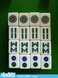  我们刚打完麻将,一只学霸走过来