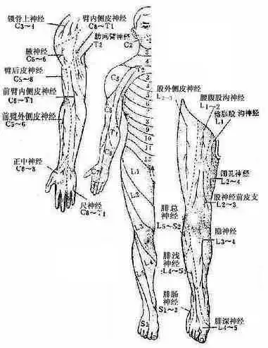  桡骨膜反射异常