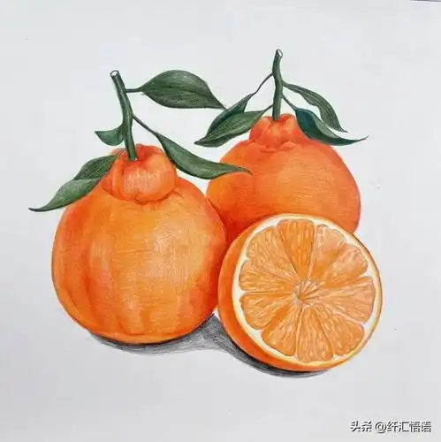  彩铅水果画构图和谐,颜色富有层次感,质感逼真