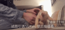  搞笑gif这样的美女的步伐从来没让人失望过
