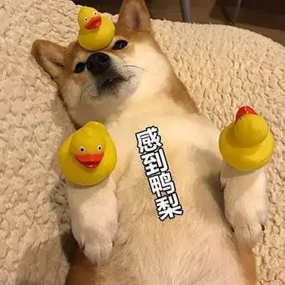  头条关于妇联新媒体工作,听省妇联主席周丽宁怎么说