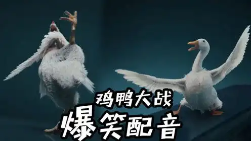 鸭子搞笑图片搞笑图片