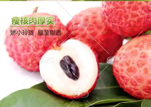  广州从化井岗红糯荔枝35斤装产地现摘即发冷链配送保鲜直达全国包邮6月15日起开始发货