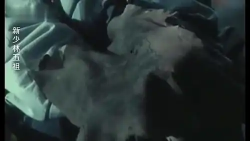 少林方丈自知藏宝图不保,立马找来5个弟子,分别纹在他们身上  少林方丈自知藏宝图不保,立马找来5个弟子,分别纹在他们身上