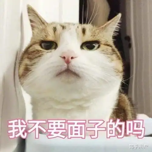  一个女生可以可爱到什么程度