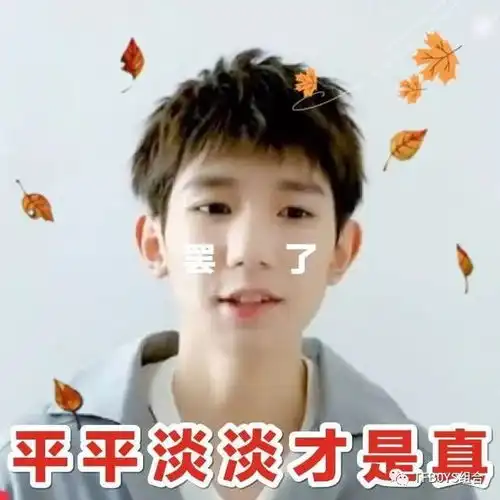  饭制王源九宫格表情包新年快乐福气常在