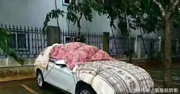  关于台风山竹的搞笑图片,山竹已经被我控制,山竹我劝你善良