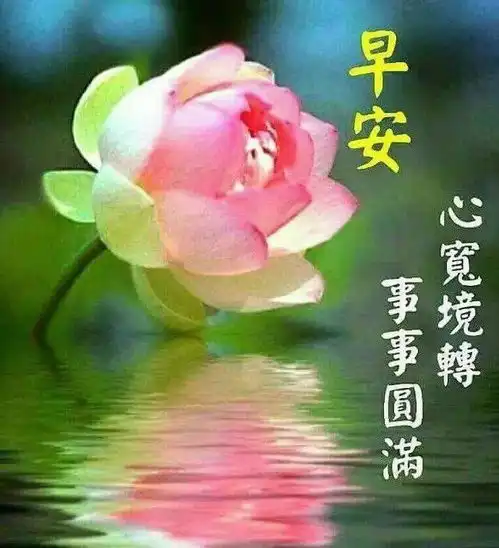  朋友圈早上好短信暖心问候语,微信清晨早上好问候祝福语录图片