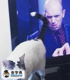 着急搞笑图片开心一刻