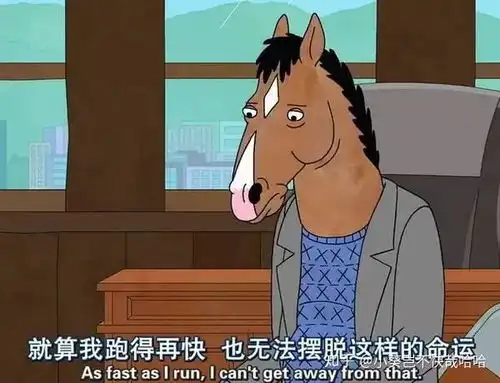  日常鸡汤太多,不如来点佐料调调味