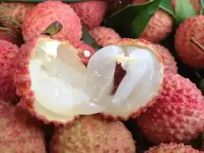  广西荔枝中的白富美上市了穷人吃不起哦