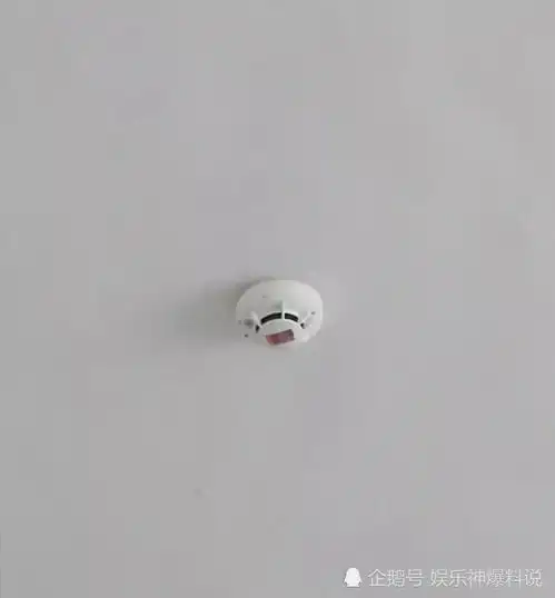  搞笑趣图这样鸭子最有营养,请问怎么做最好吃