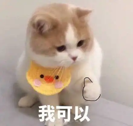  正能量的表情包今天也要加油喵