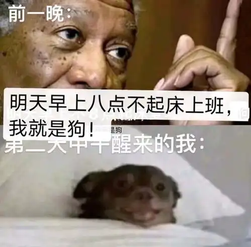  无标题