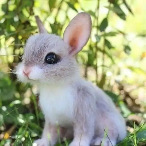  有内涵的搞笑段子精选,奇葩趣味,萌化人心