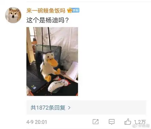  杨迪吃瓜丑得刚刚好的鸭子吃到自己,本尊逗趣回应鸭子竟是我自己