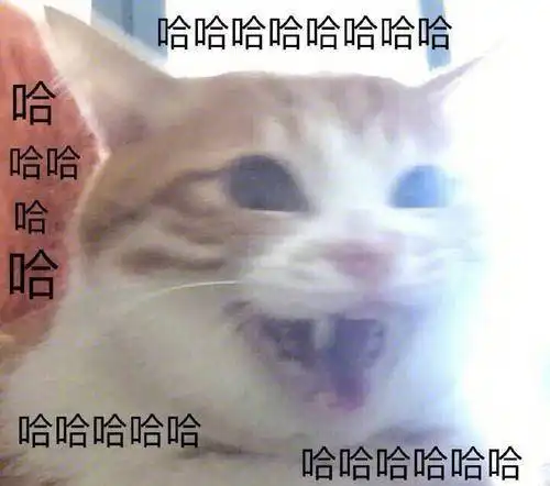  你帮过最奇葩的忙是什么帮狗打架算么