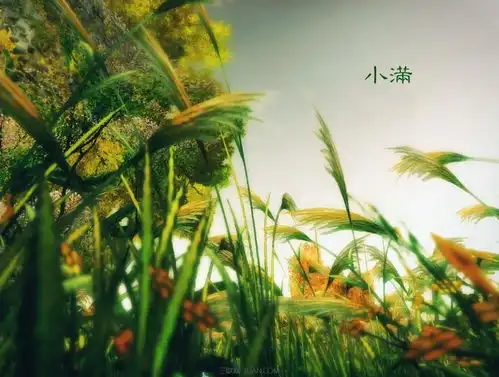 2021年5月21日小满节气祝福语图片小满早安问候祝福图片带字精选  2021年5月21日小满节气祝福语图片小满早安问候祝福图片带字精选