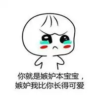 搞笑图片带字斗图专用头