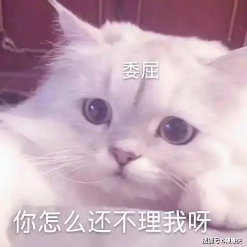  可爱表情包图片如此的可爱,你见过吗