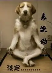 睡觉图片搞笑 表情动物
